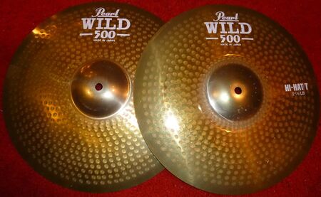 Pearl 500 Wild 14 Hi Hat 1.jpg