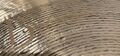Meinl Byzance 20" Tradition Light Ride 2.jpeg