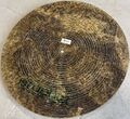 Istanbul Agop Signature 19" Flat Ride 3.jpg