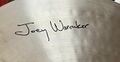 Istanbul Agop Joey Waronker Signature 14" Hi-Hat 2.jpg