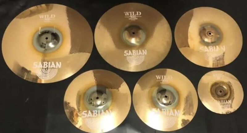 File:Wild 900 Family.jpg