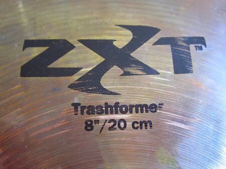 ZXT 8" Trashformer 2.jpg