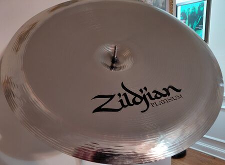 A Platinum 20" Swish 3.jpg